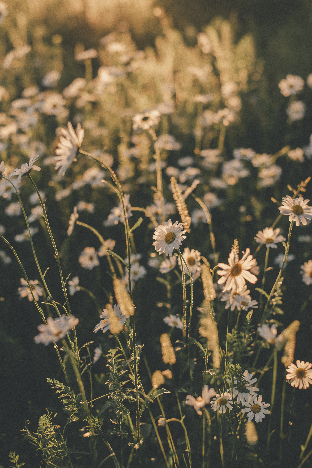 W Eddingcreativephotographsuk 2 3