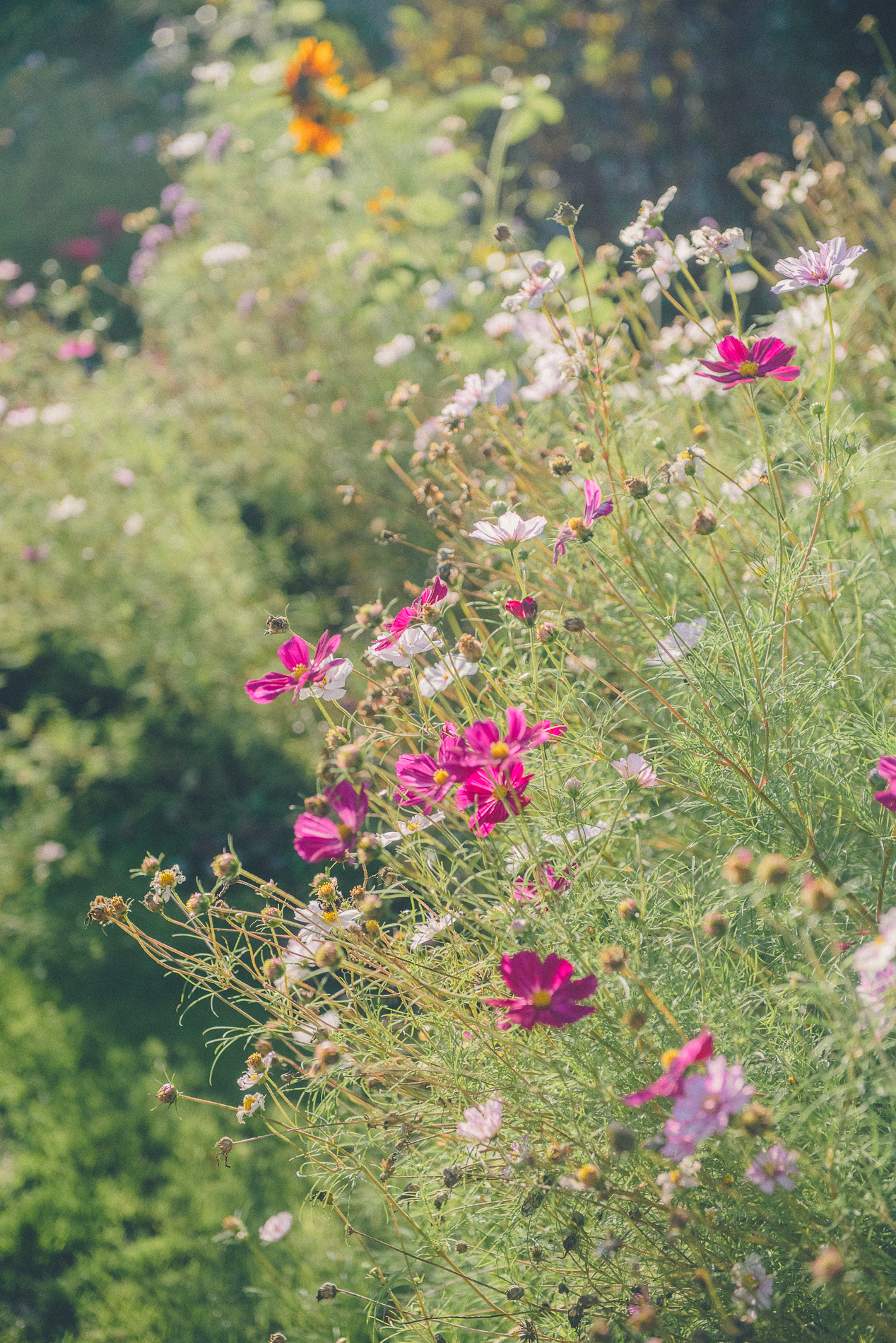 W Eddingcreativephotographsuk 9 6